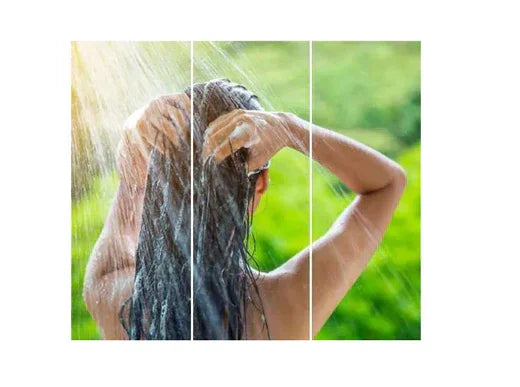 Відновлююча магія рослин від Bbcos Meristema