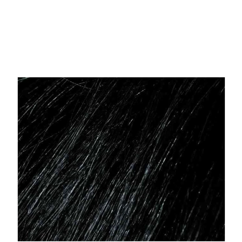 Beardburys Color Shampoo 2N - Шампунь камуфлюючий для голови, бороди та вусів Чорний