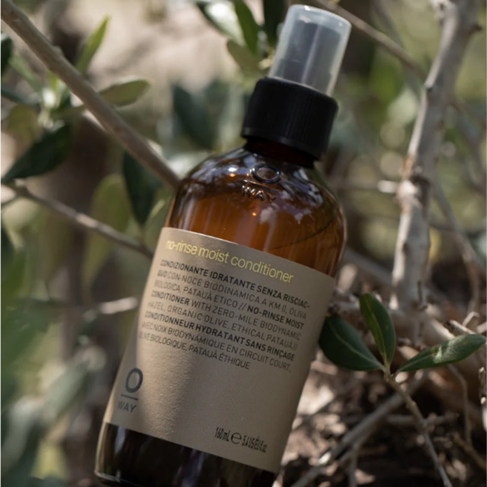 Oway Moisturizing No-Rinse Moist Conditioner - Зволожуючий кондиціонер для волосся