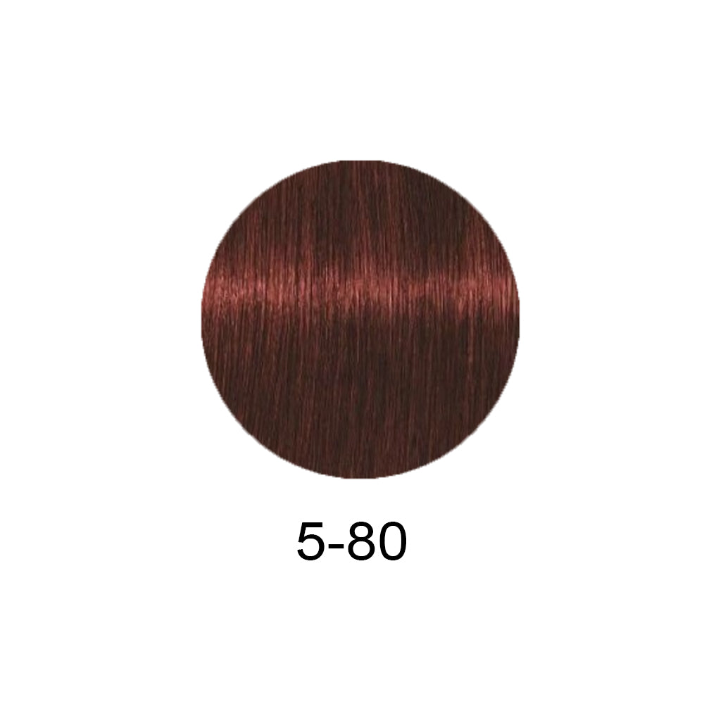 Schwarzkopf Professional Igora Royal Absolutes 60ml - Фарба для сивого волосся 60мл