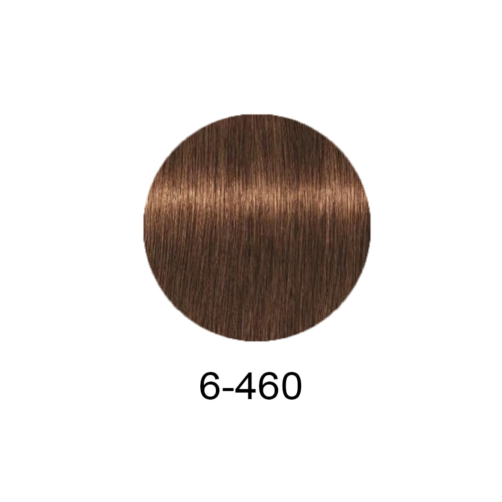 Schwarzkopf Professional Igora Royal Absolutes 60ml - Фарба для сивого волосся 60мл