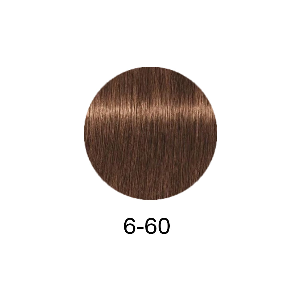 Schwarzkopf Professional Igora Royal Absolutes 60ml - Фарба для сивого волосся 60мл