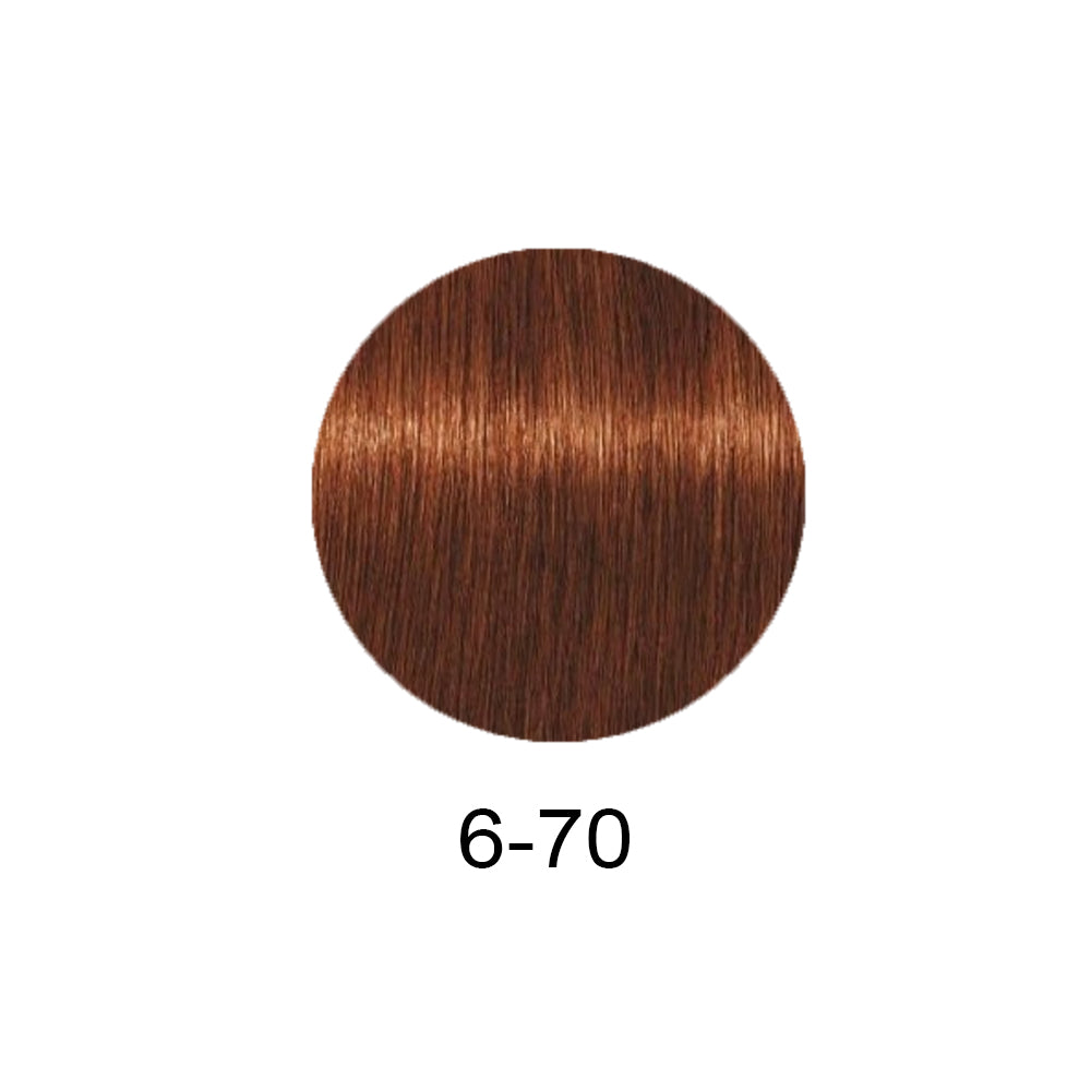 Schwarzkopf Professional Igora Royal Absolutes 60ml - Фарба для сивого волосся 60мл