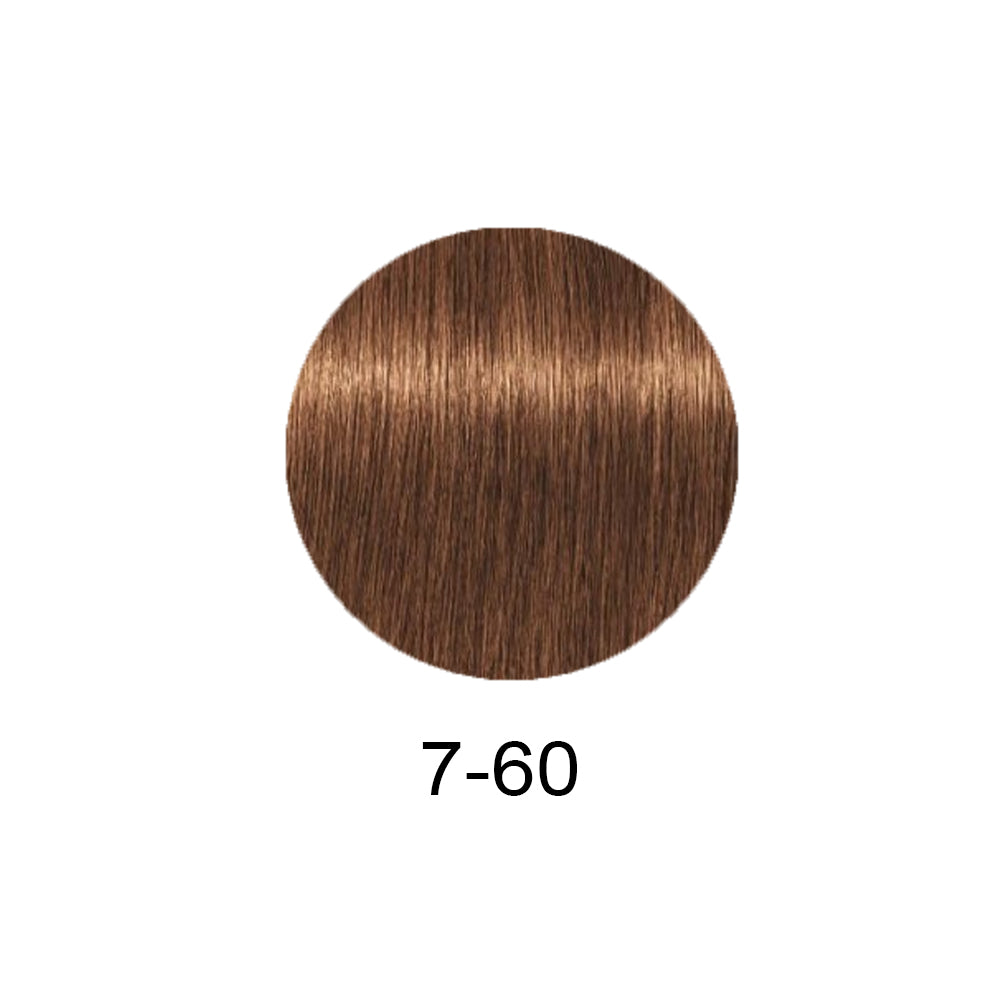 Schwarzkopf Professional Igora Royal Absolutes 60ml - Фарба для сивого волосся 60мл