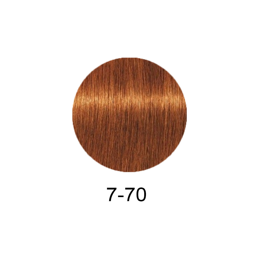 Schwarzkopf Professional Igora Royal Absolutes 60ml - Фарба для сивого волосся 60мл