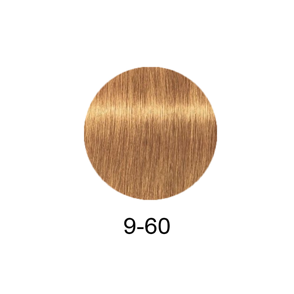 Schwarzkopf Professional Igora Royal Absolutes 60ml - Фарба для сивого волосся 60мл