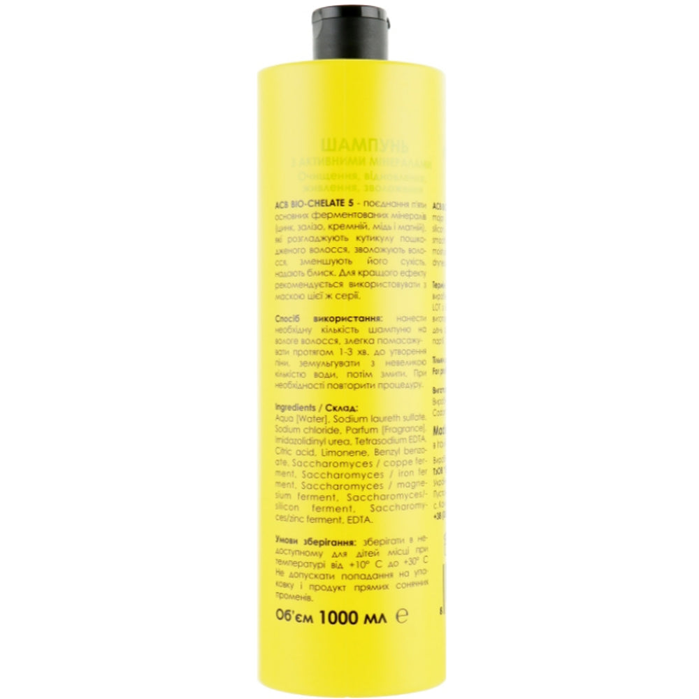 You Look Professional Art Mineral Active Shampoo - Шампунь с активными минералами