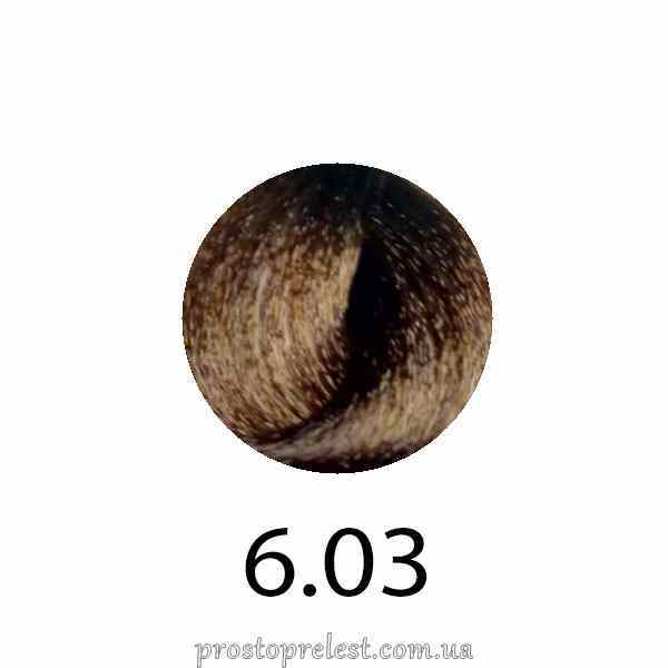 Erayba Equilibrium Hair Color Cream (COLOR) 120ml - Крем-фарба для волосся 120мл