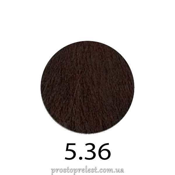 Erayba Gamma Next Haircolor Cream 100 ml - Безаміачна фарба для волосся 100 мл