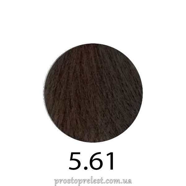 Erayba Gamma Next Haircolor Cream 100 ml - Безаміачна фарба для волосся 100 мл