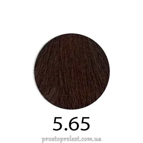 Erayba Gamma Next Haircolor Cream 100 ml - Безаміачна фарба для волосся 100 мл