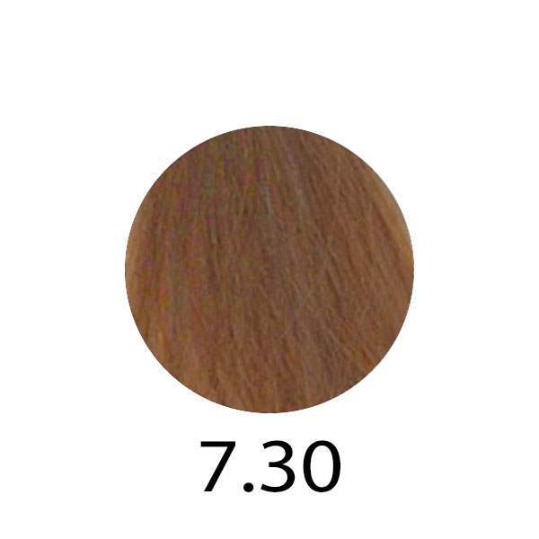 Erayba Gamma Next Haircolor Cream 100 ml - Безаміачна фарба для волосся 100 мл