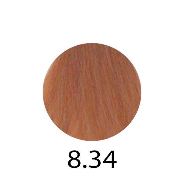 Erayba Gamma Next Haircolor Cream 100 ml - Безаміачна фарба для волосся 100 мл