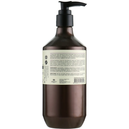 Angel Professional Paris Provence Lavender Full Energetic Shampoo - Енергетичний шампунь з лавандою