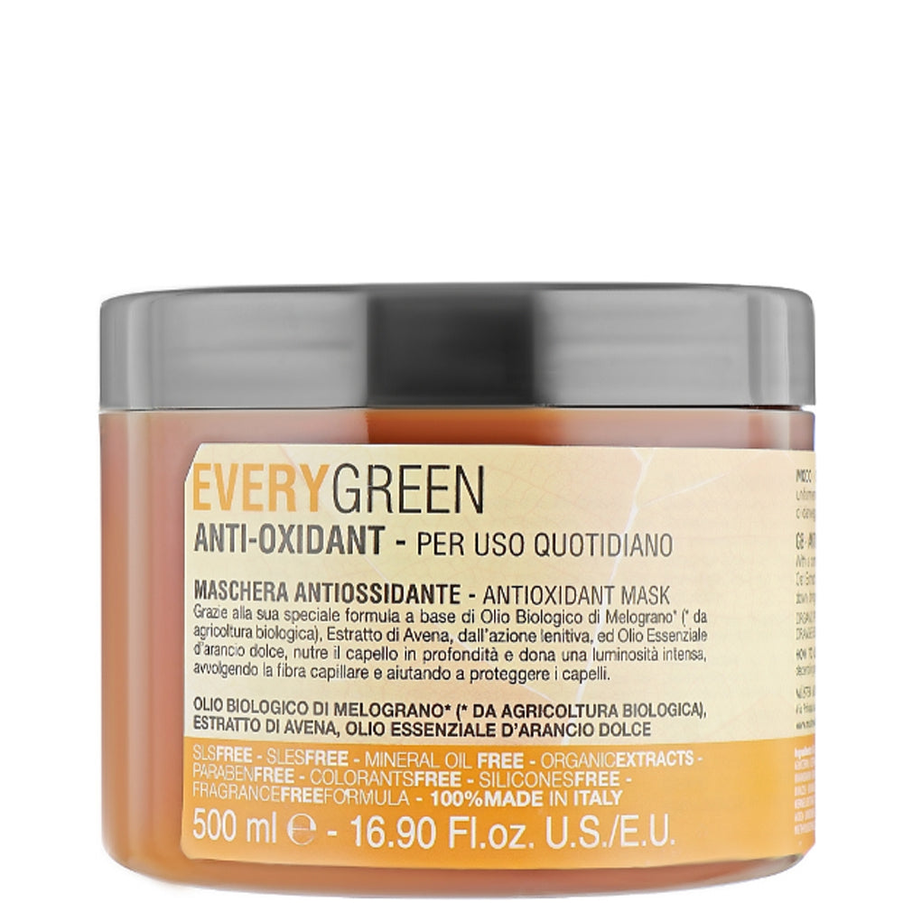 Dikson Every Green Anti-Oxidant Mask - Маска для щоденного застосування
