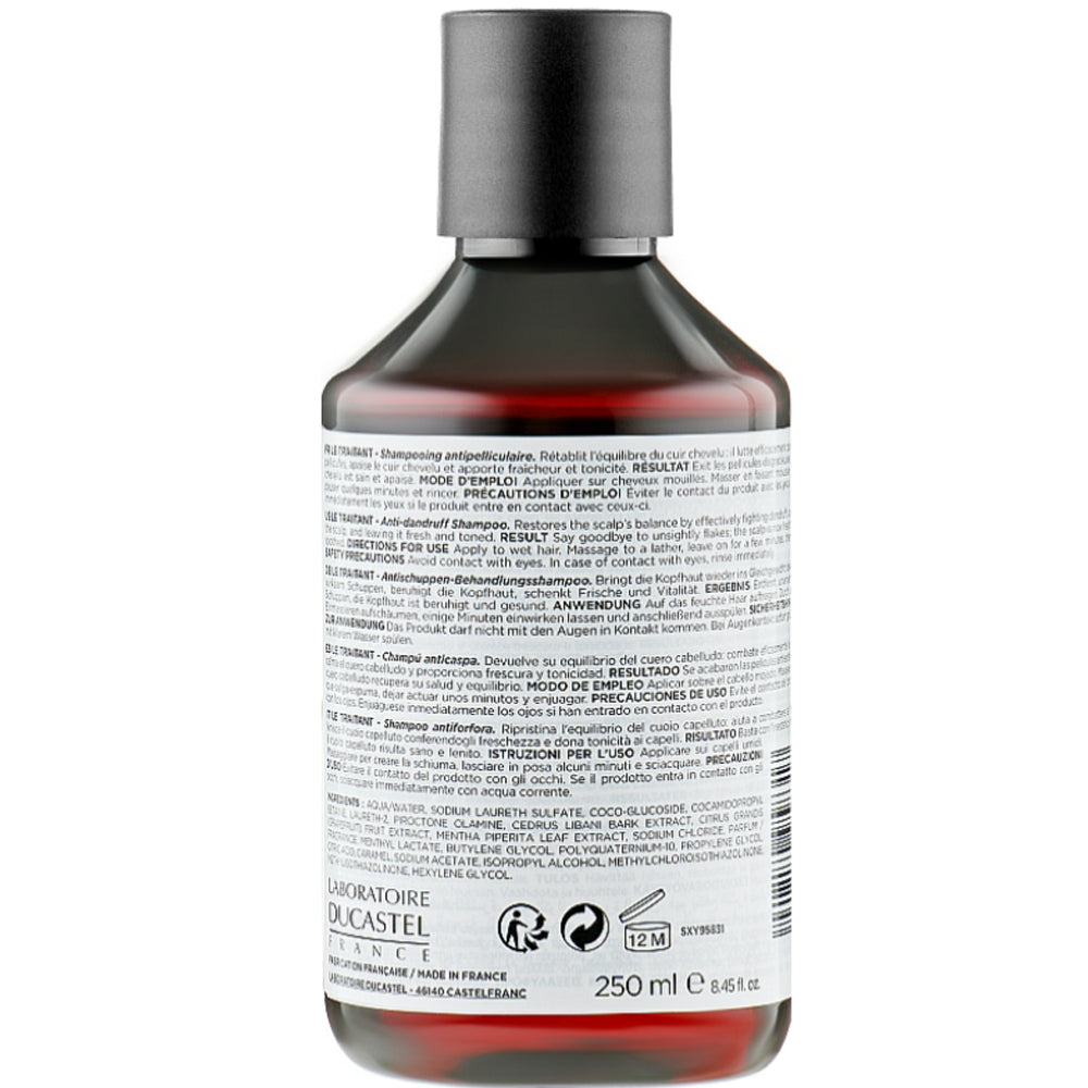 Шампунь против перхоти - Ducastel Subtil XY Traitant Anti-Dandruff Shampoo