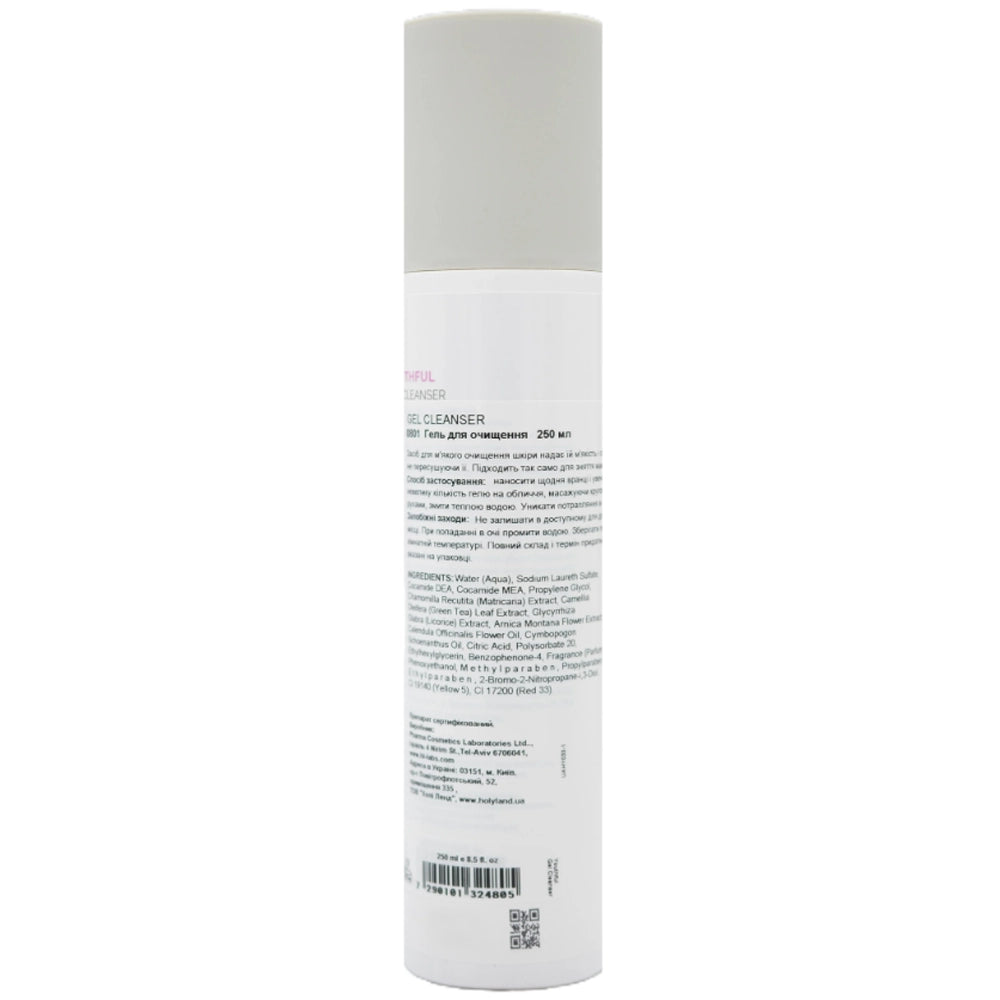 Очищувач для обличчя - Holy Land Youthful Gel Cleanser склад