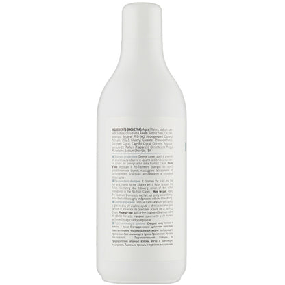 Шампунь для попередньої обробки волосся - Krom No-Frizz Shampoo