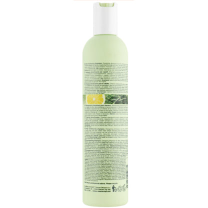Шампунь енергетичний для сухого волосся - Milk Shake Energizing Blend Shampoo