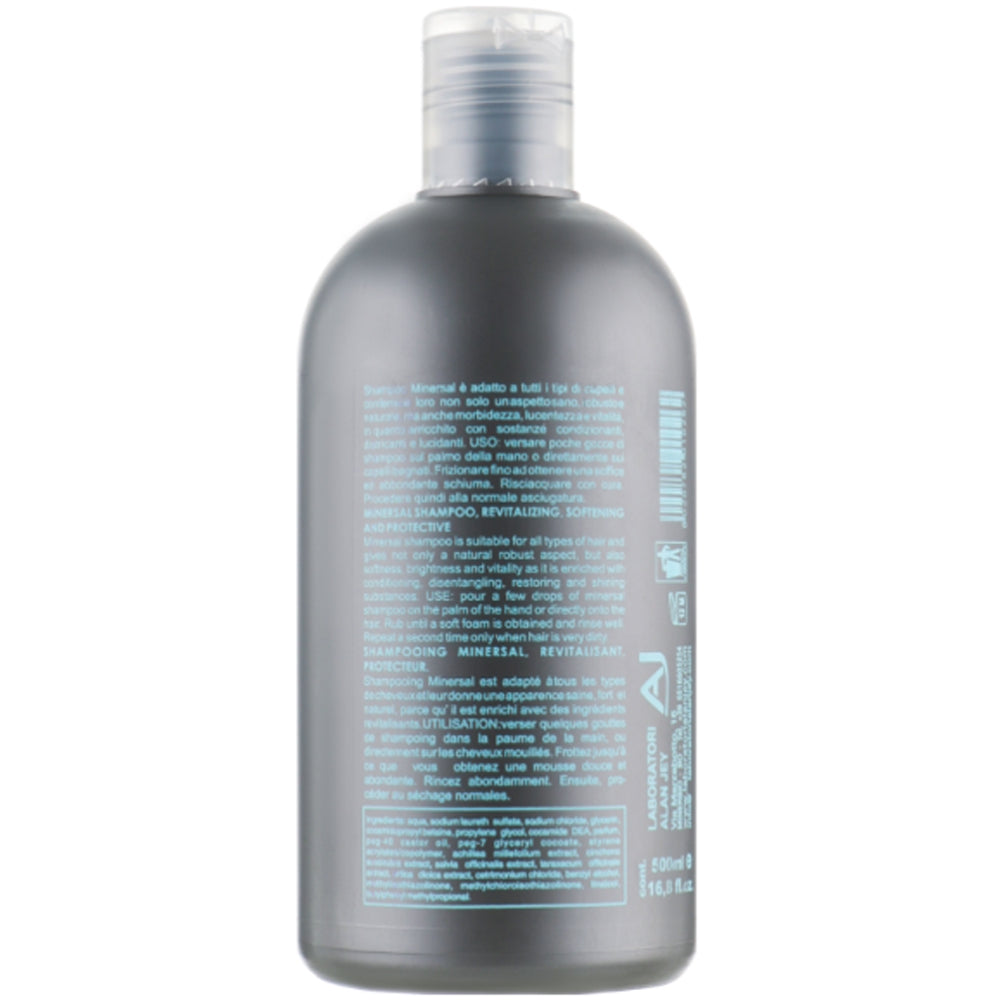 Alan Jey Minersal Shampoo - Ревіталізуючий шампунь з мінералами