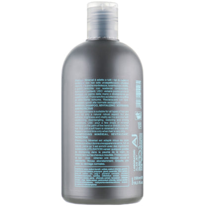 Alan Jey Minersal Shampoo - Ревіталізуючий шампунь з мінералами