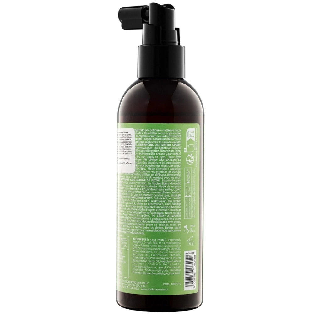 Спрей-активатор локонів - Nook Magic Arganoil Curly склад