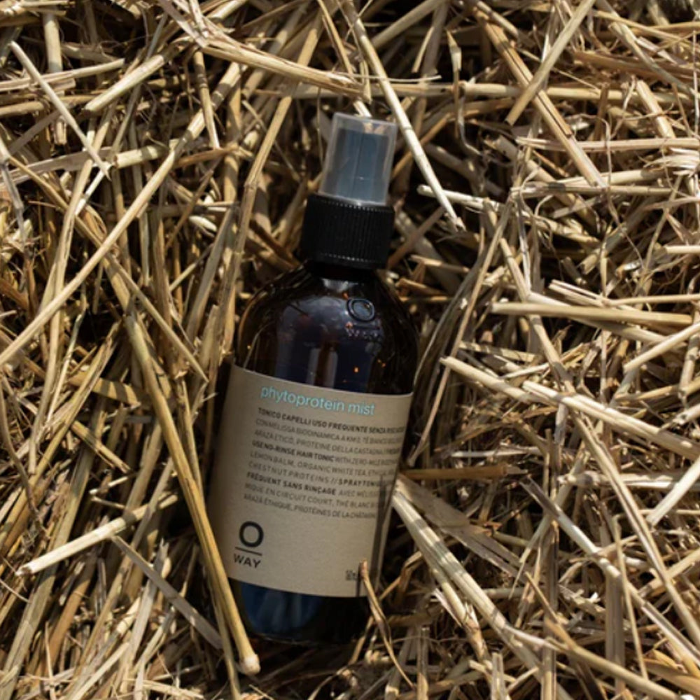 Oway Daily Act Phytoprotein Mist - Фітопротеїновий міст для волосся