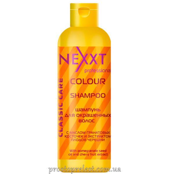 Nexxt Professional Classic Care Colour Shampoo - Шампунь для фарбованого волосся