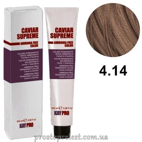 KayPro Caviar Supreme Ammonia Free Color Hair Cream 100 ml – Безаммиачная стойкая крем-краска 100 мл